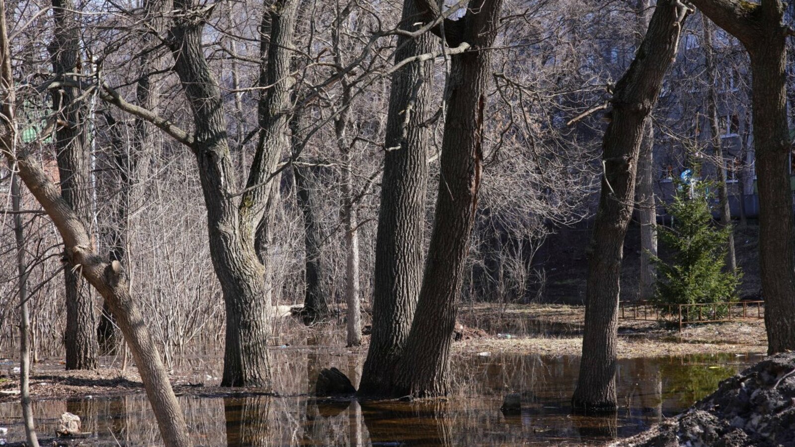 Олег Яровиков