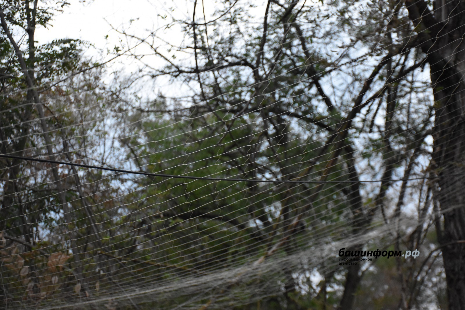 Эдуард Кускарбеков «Башинформ»