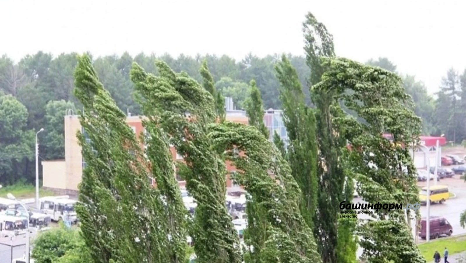 Ксения Калинина