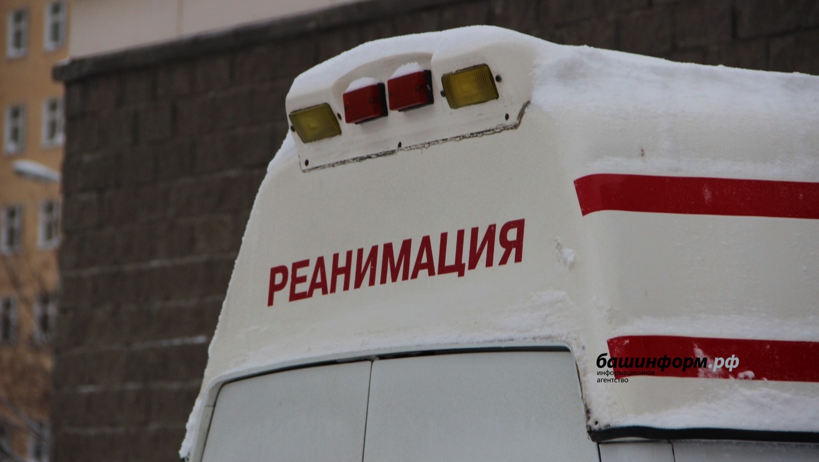 Ксения Калинина