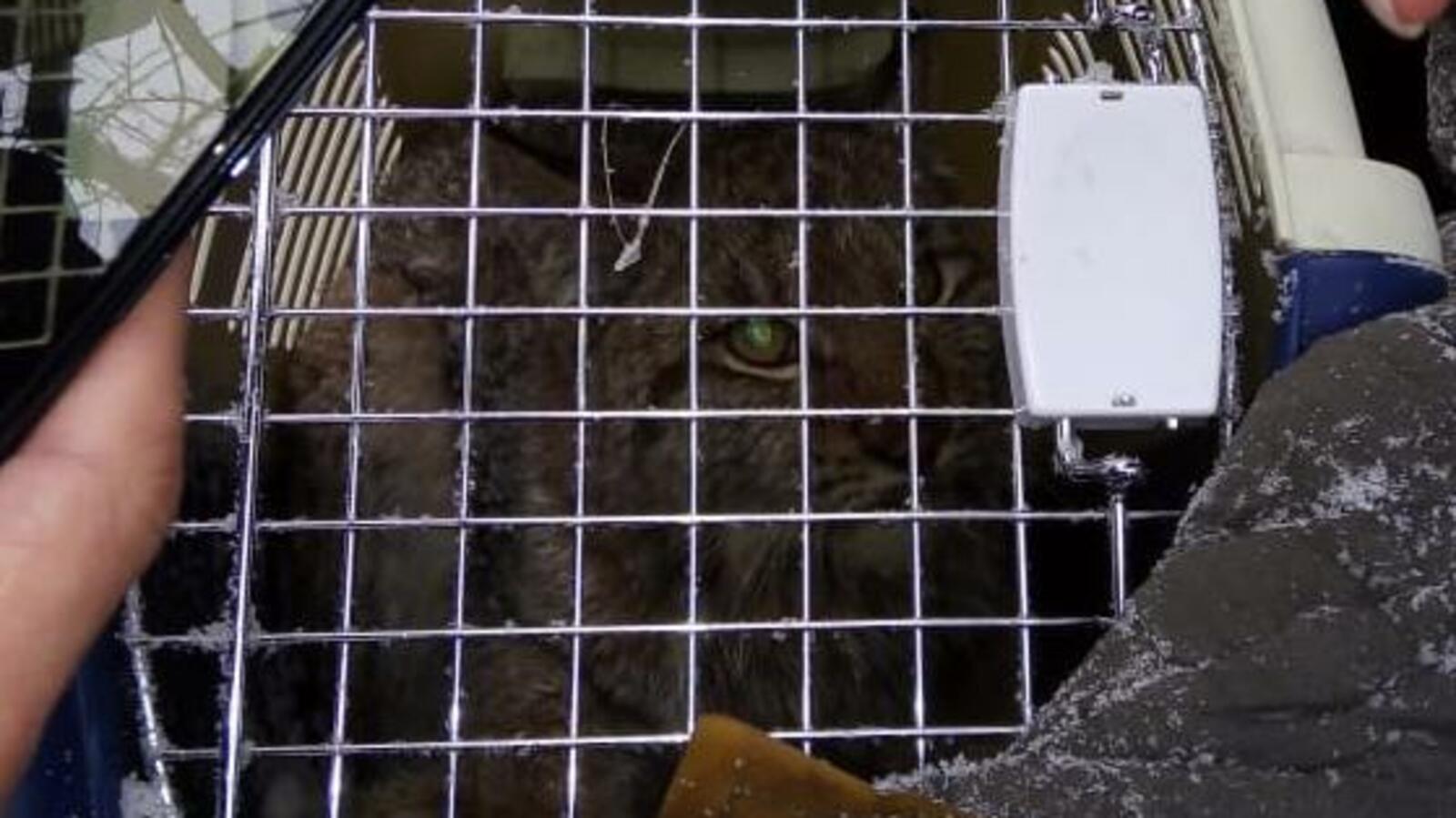 Минэкологии РБ