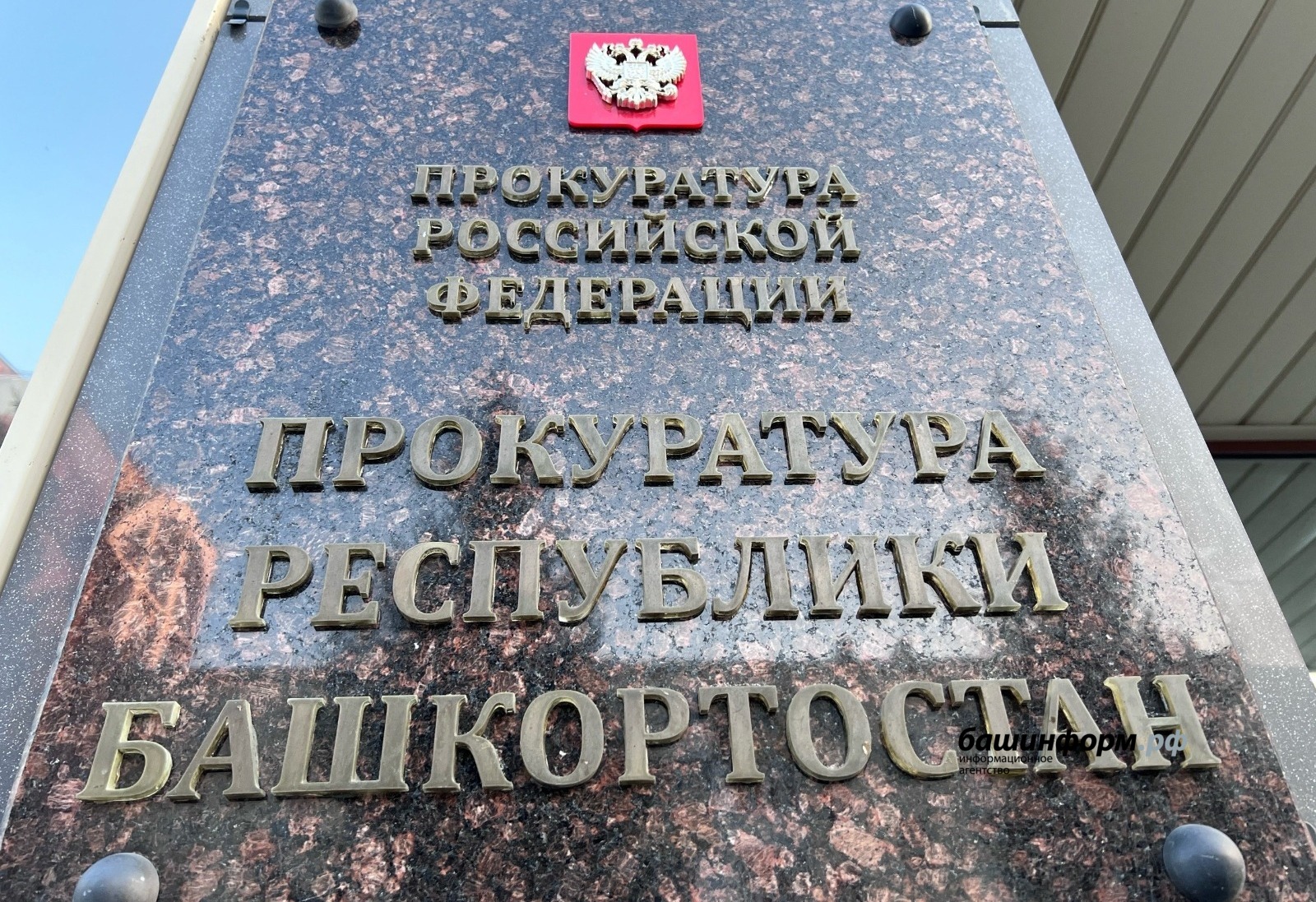 Ксения Калинина