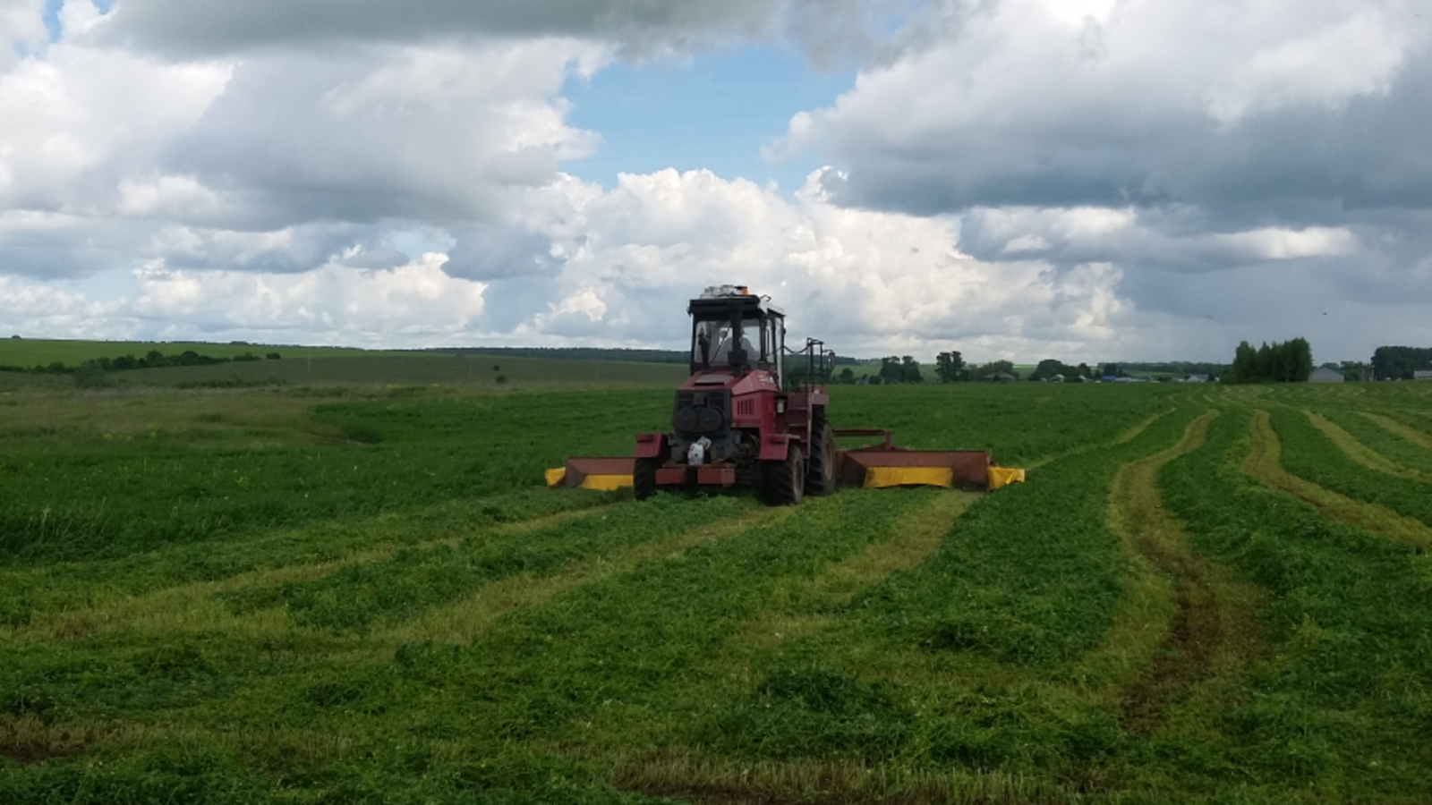 Минсельхоз РБ