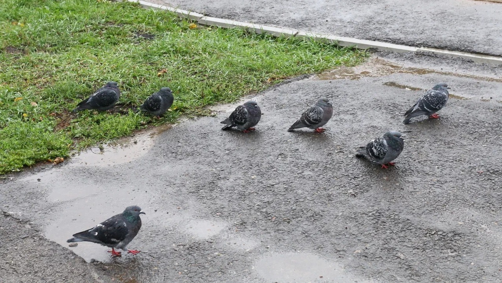 Валерий Шахов архив ИА «Башинформ»