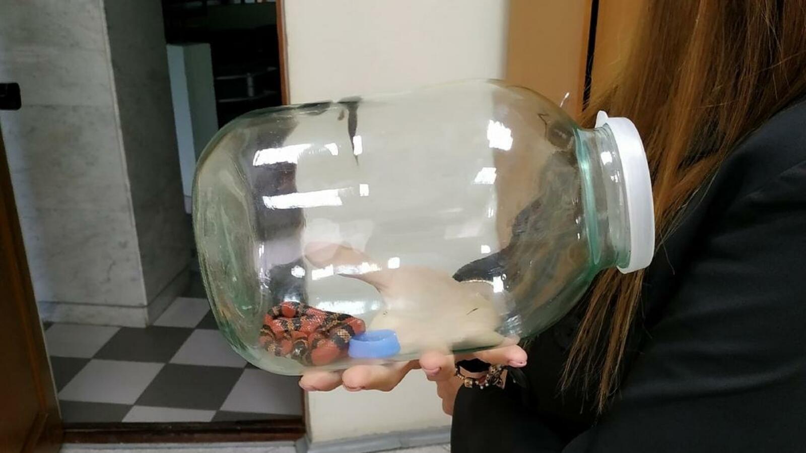 пресс-служба УГЗ по Уфе