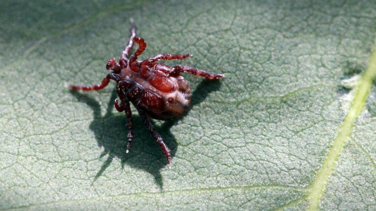 ИА «Башинформ»