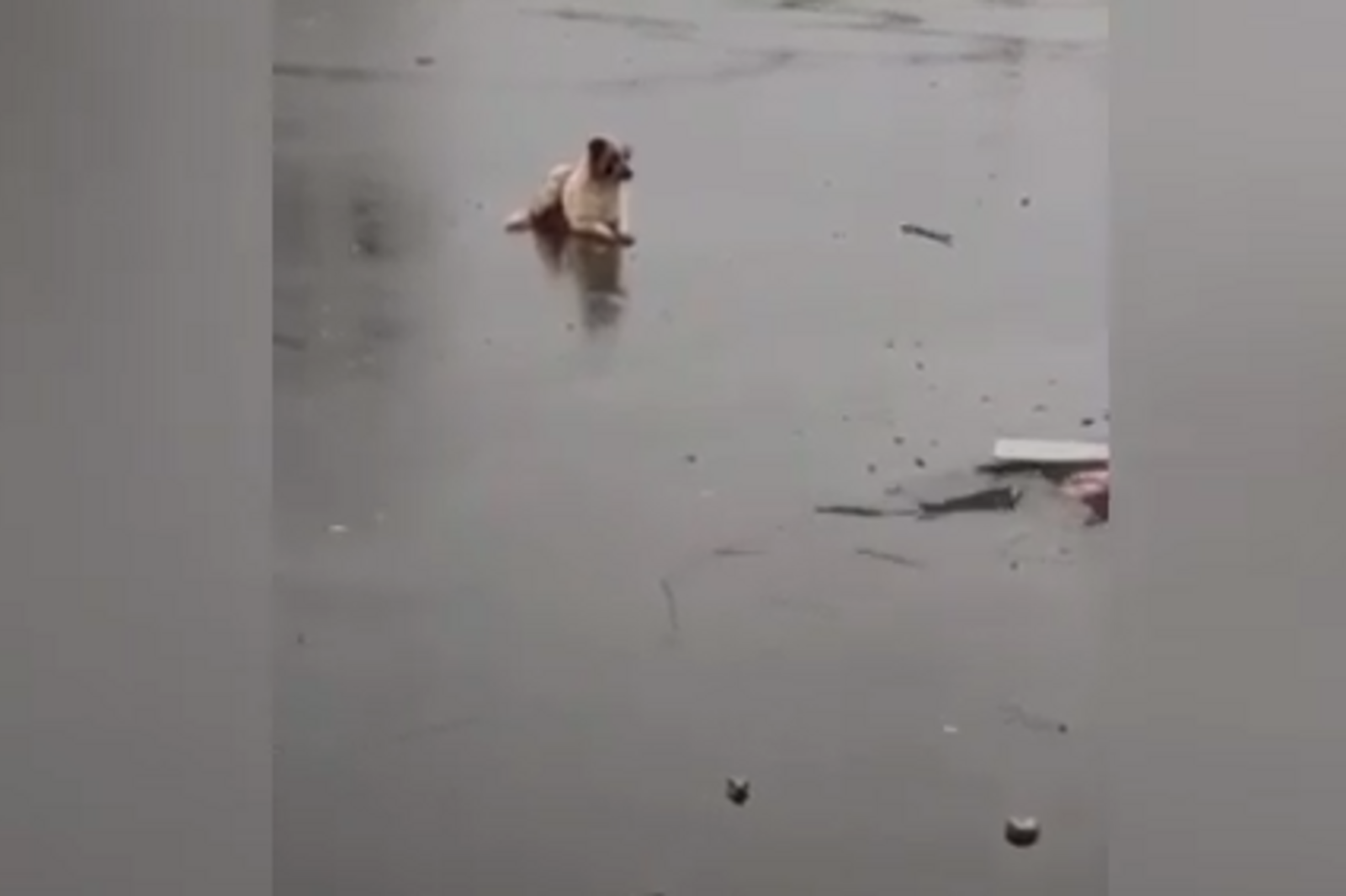 Стоп-кадр видео