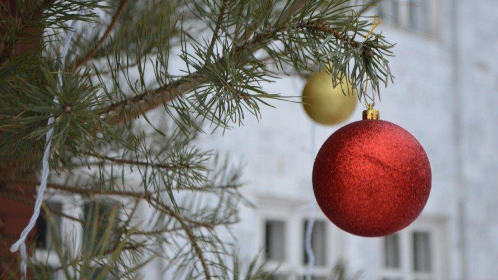 Ксения Калинина