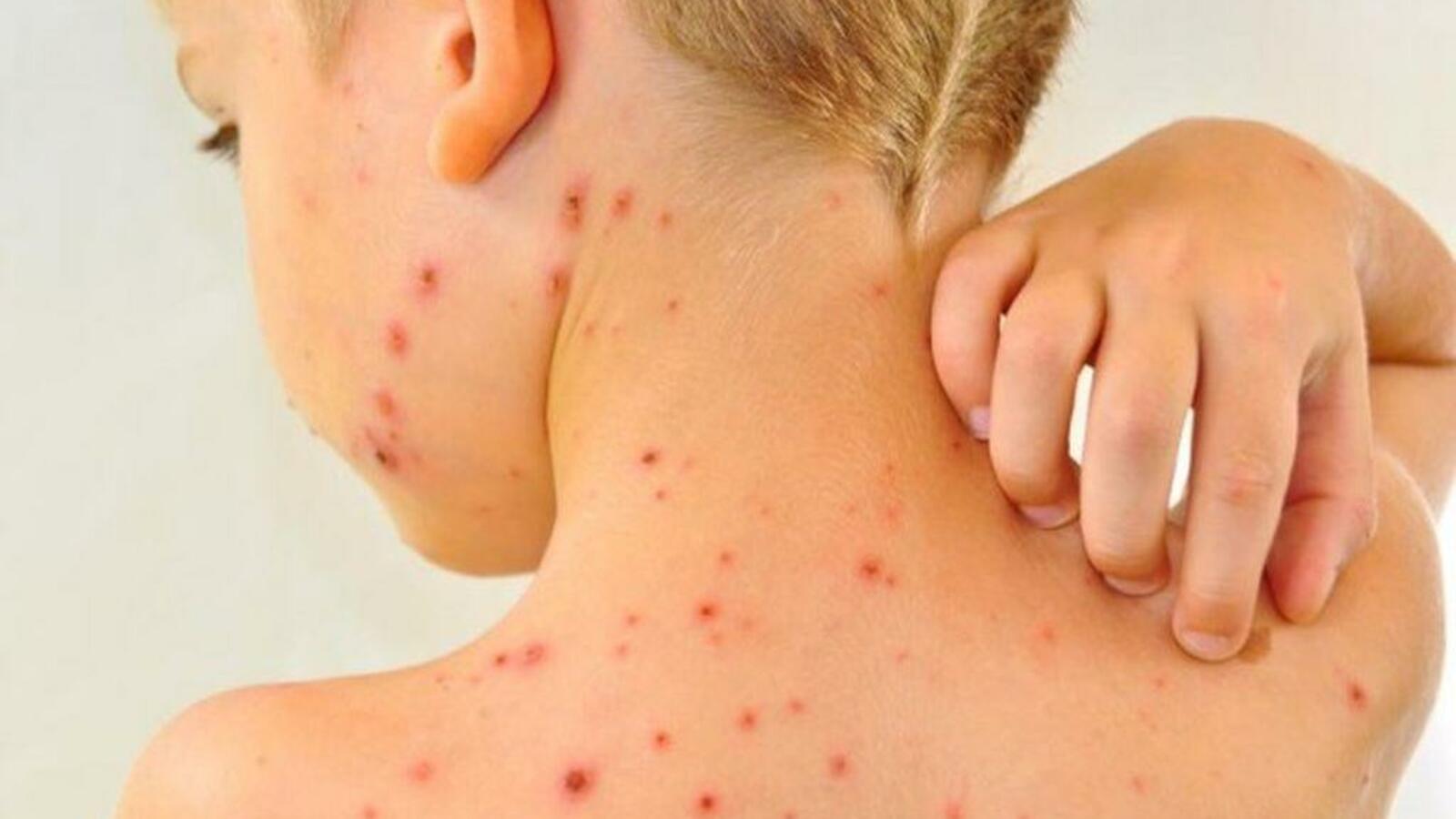 открытые источники