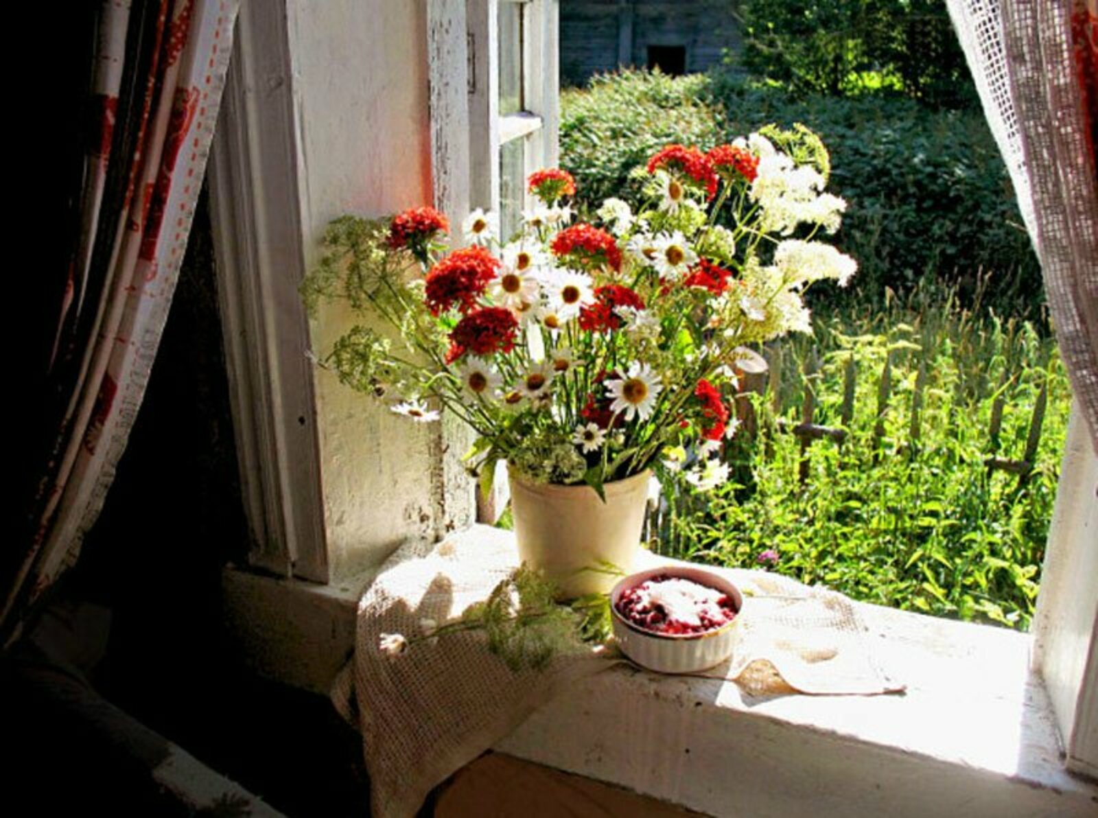 Подарить цветы в окно. Цветы на окне. Подоконник с цветами. Окно в цветах. Окно с цветами на подоконнике.