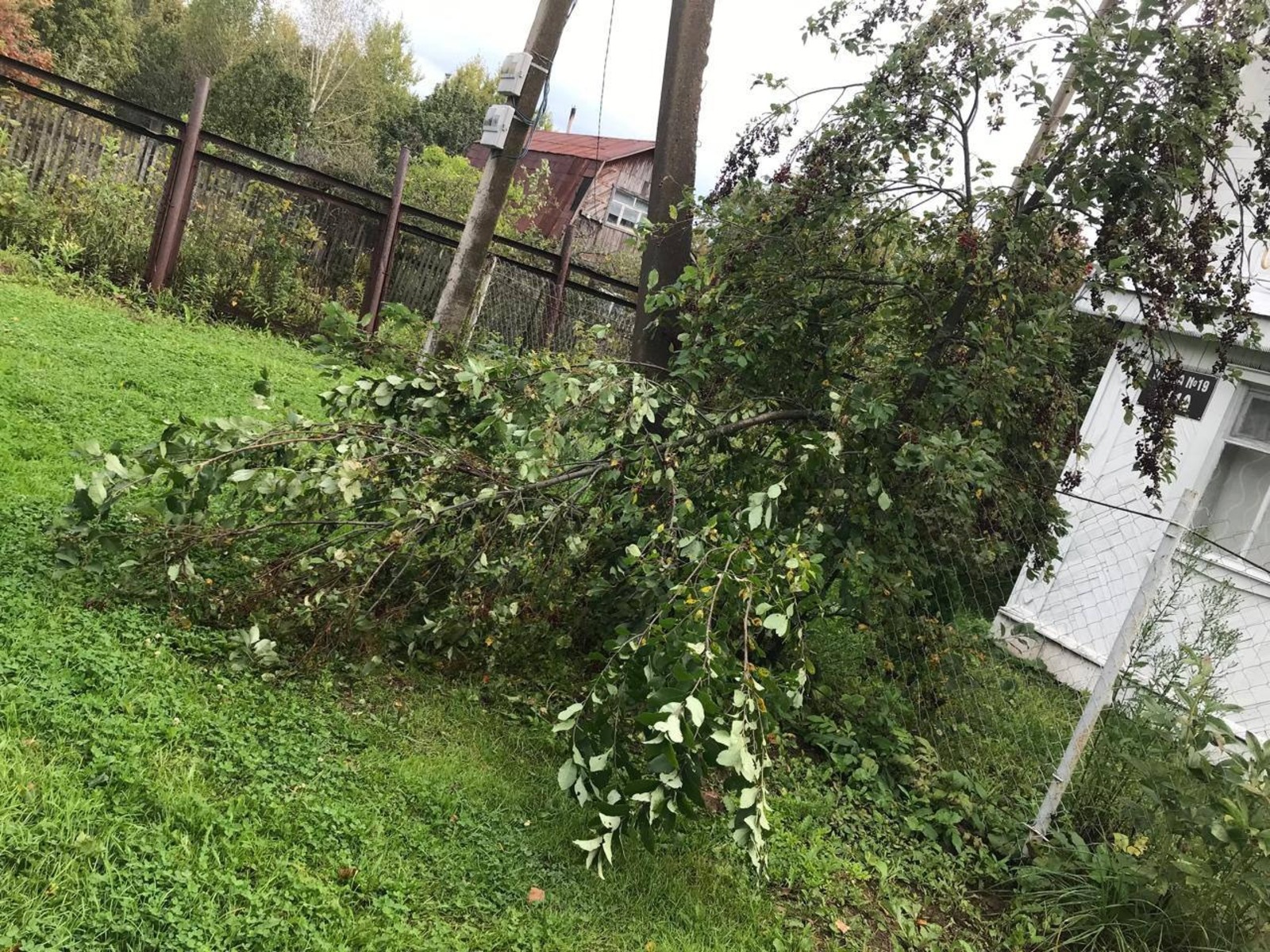 соцсети Гюзель Насыровой