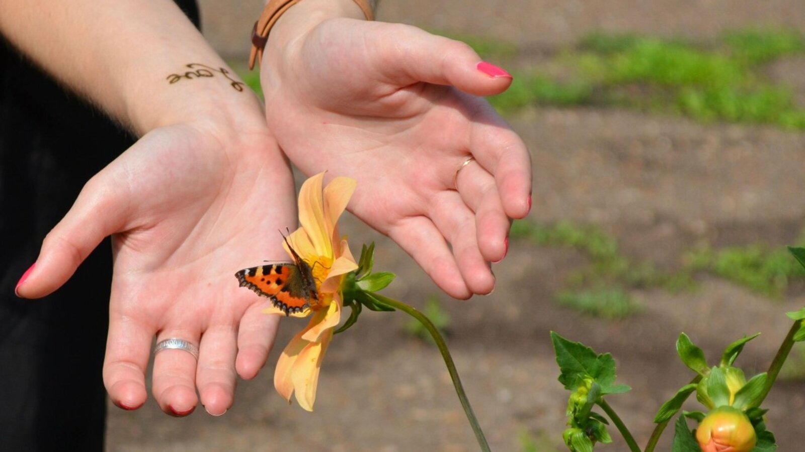 Ксения Калинина