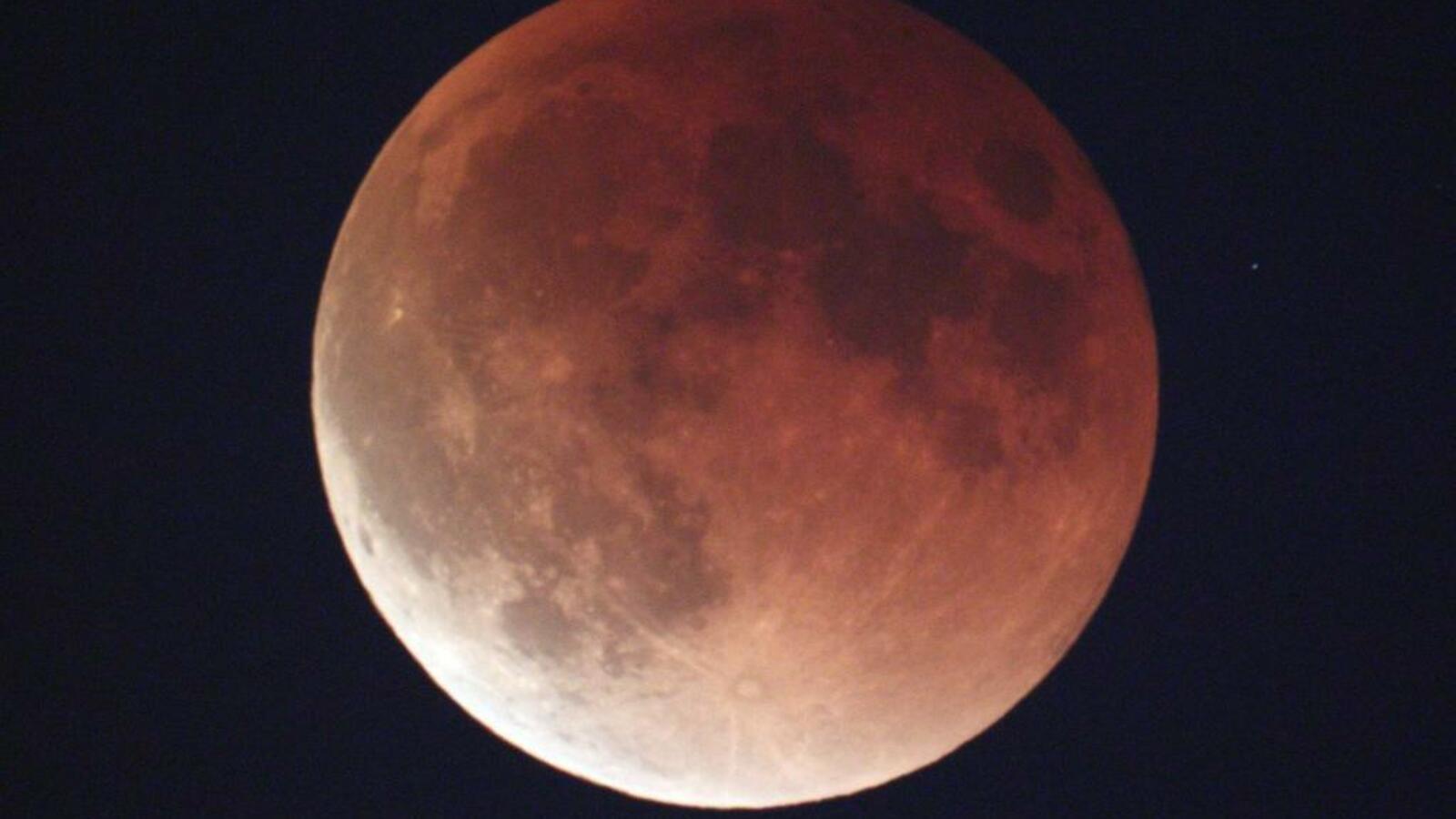 Алексей Резников