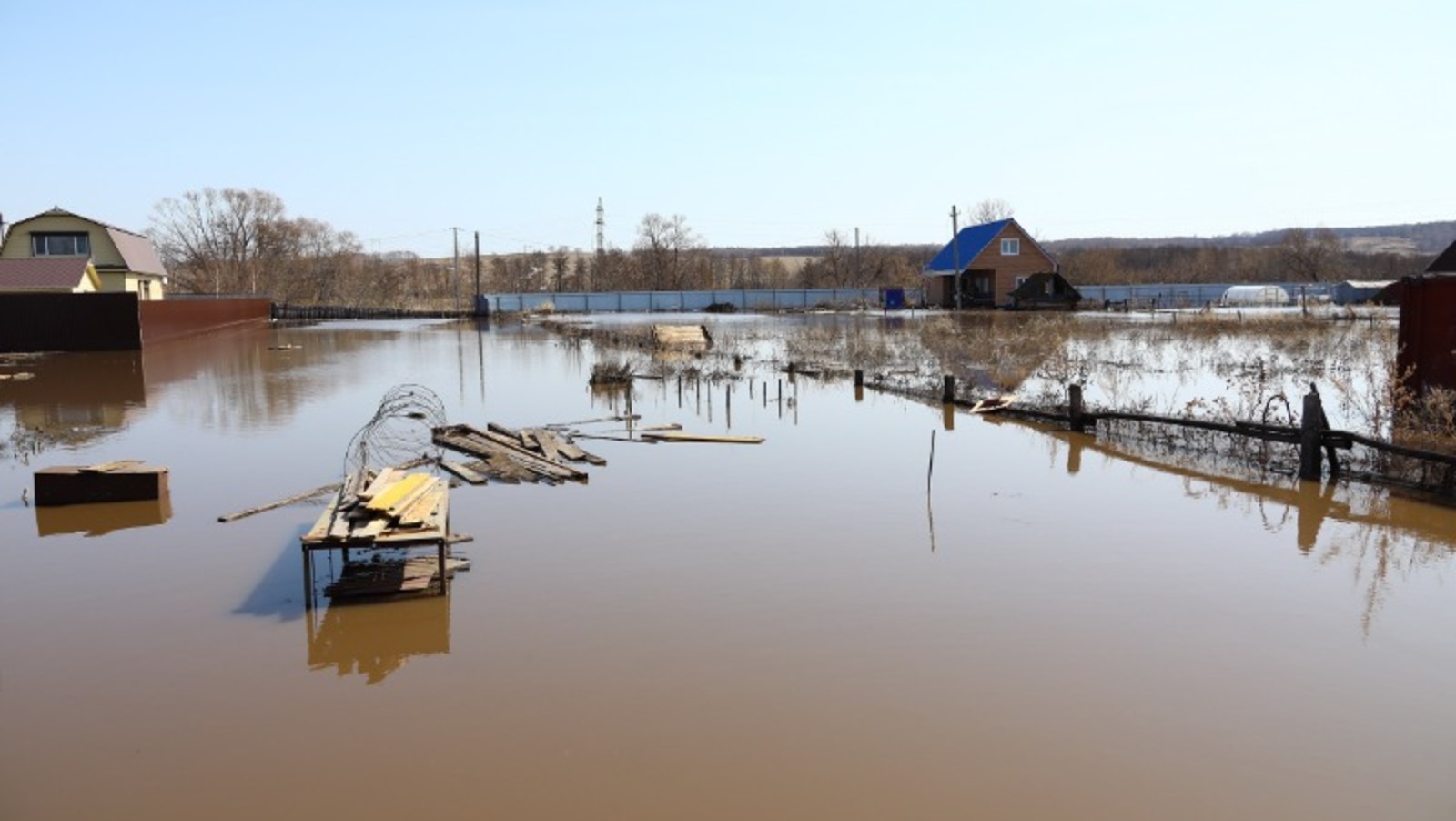 Валерий Шахов
