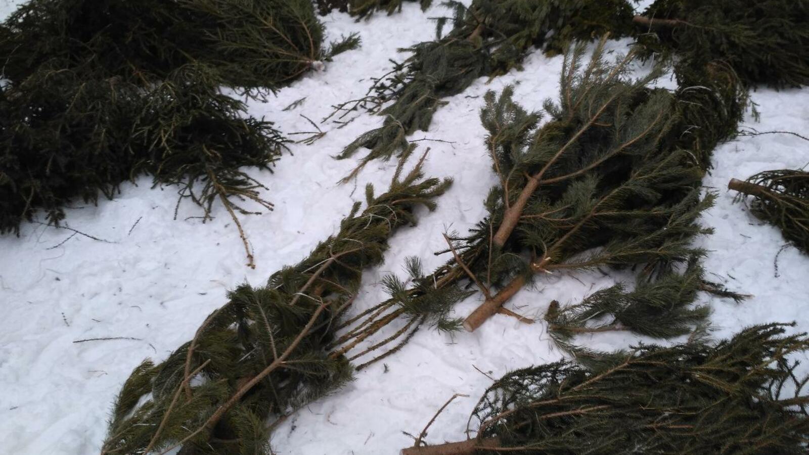 ИА «Башинформ»