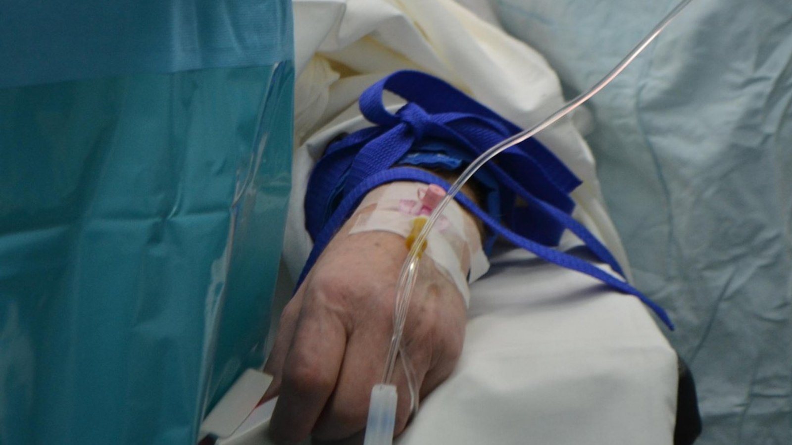 Ксения Калинина