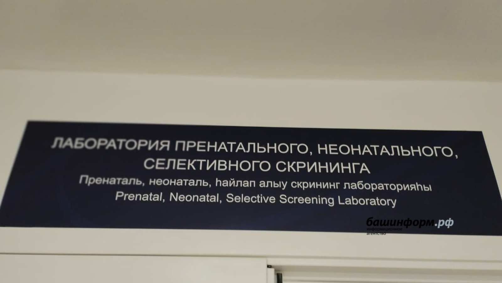 «Башинформ» мәғлүмәт агентлығы архивы