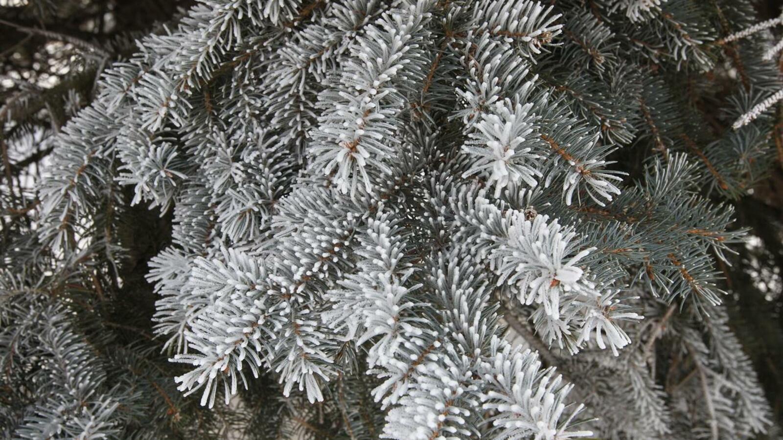 ИА «Башинформ»