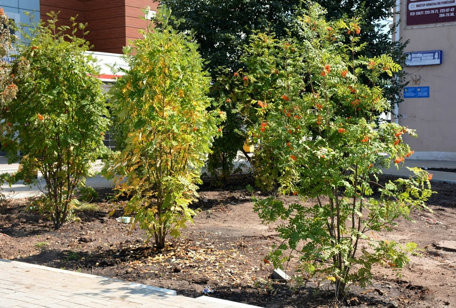 Өфө хакимиәте