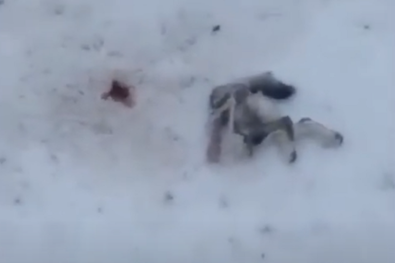Стоп-кадр видео