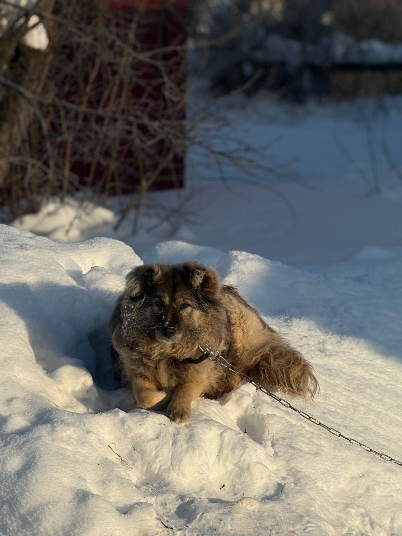 Юлия Бахшиева ИА "Башинформ"