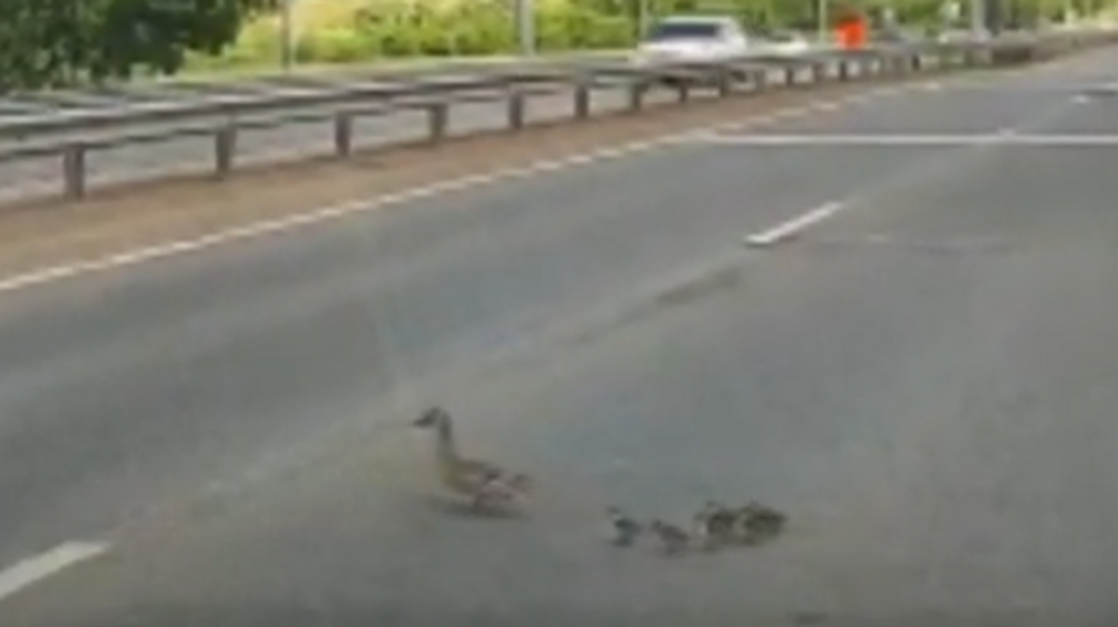 Телеканал UTV