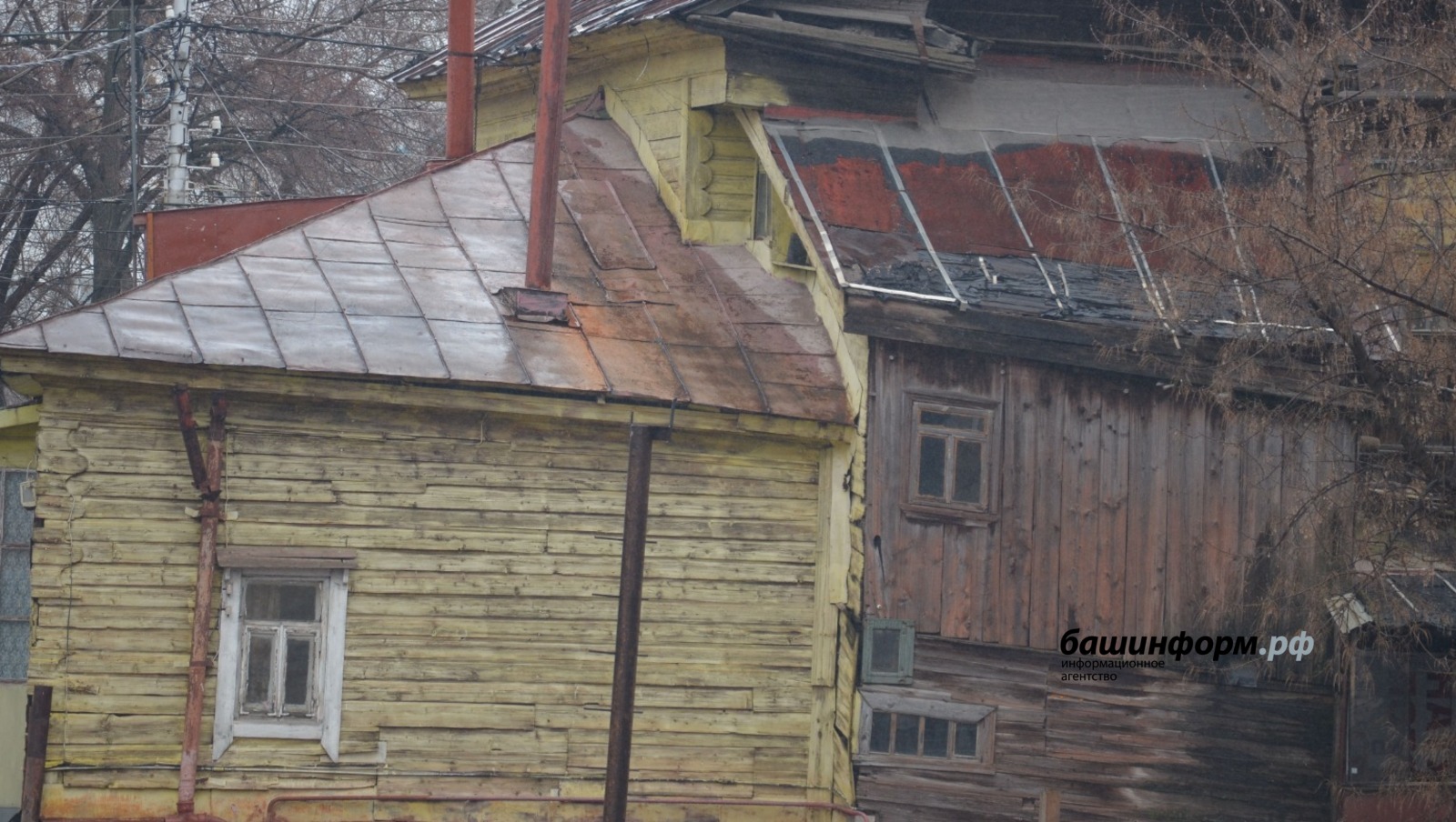 Ксения Калинина, архив