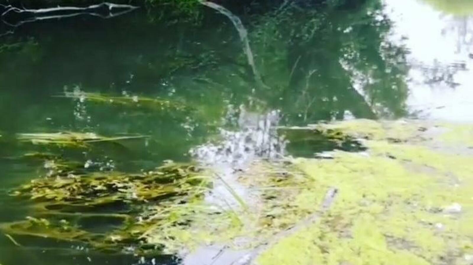 из открытых источников