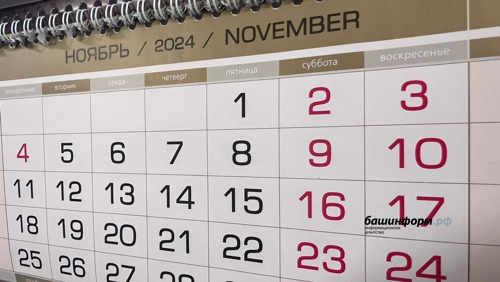 Ксения Калинина