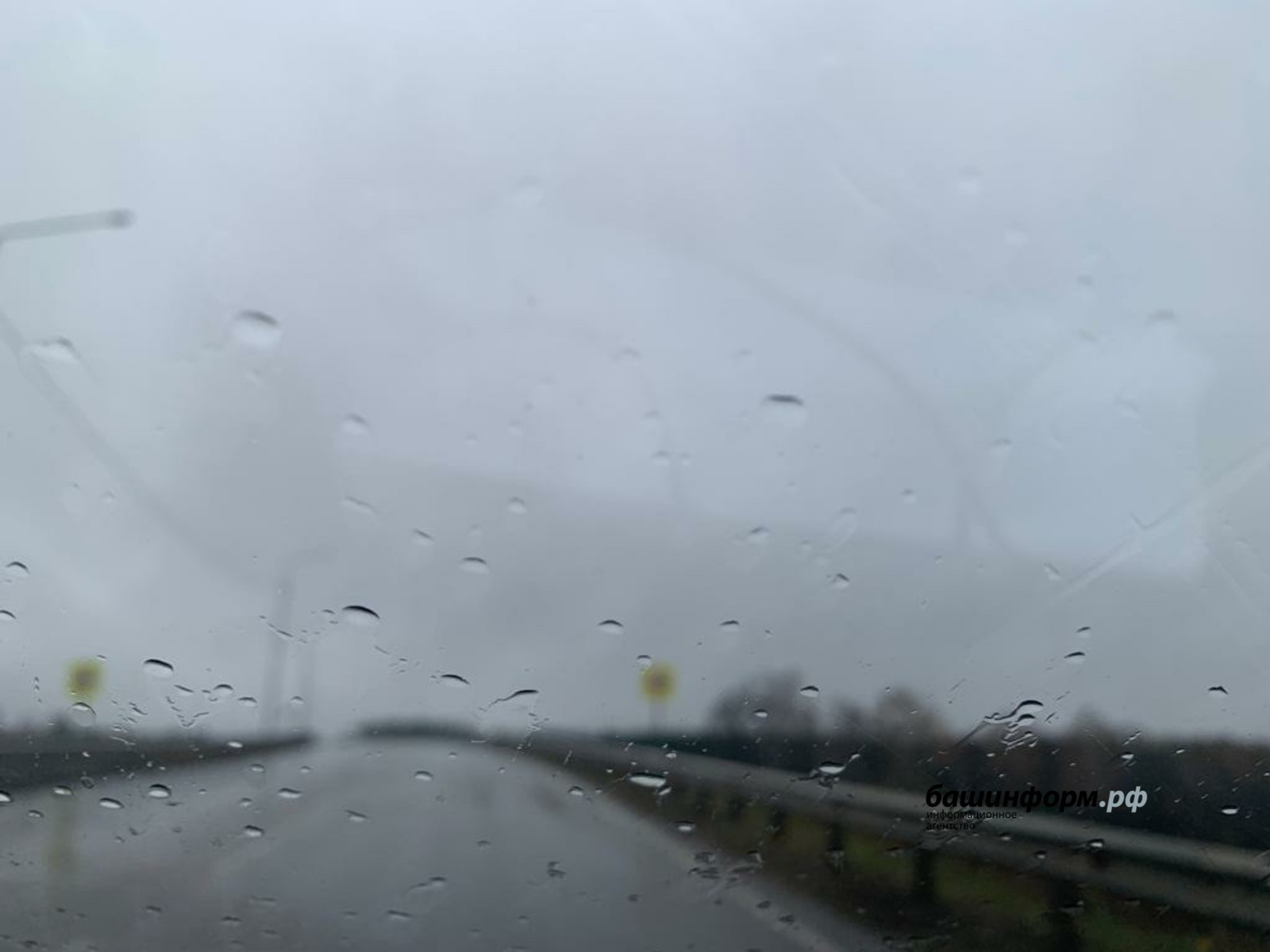 Галина Бахшиева, архив фотоһы