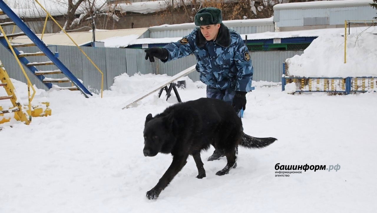 Валерий Шахов