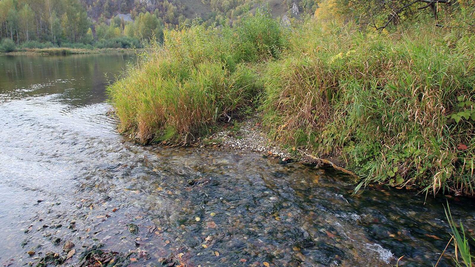 ИА «Башинформ»