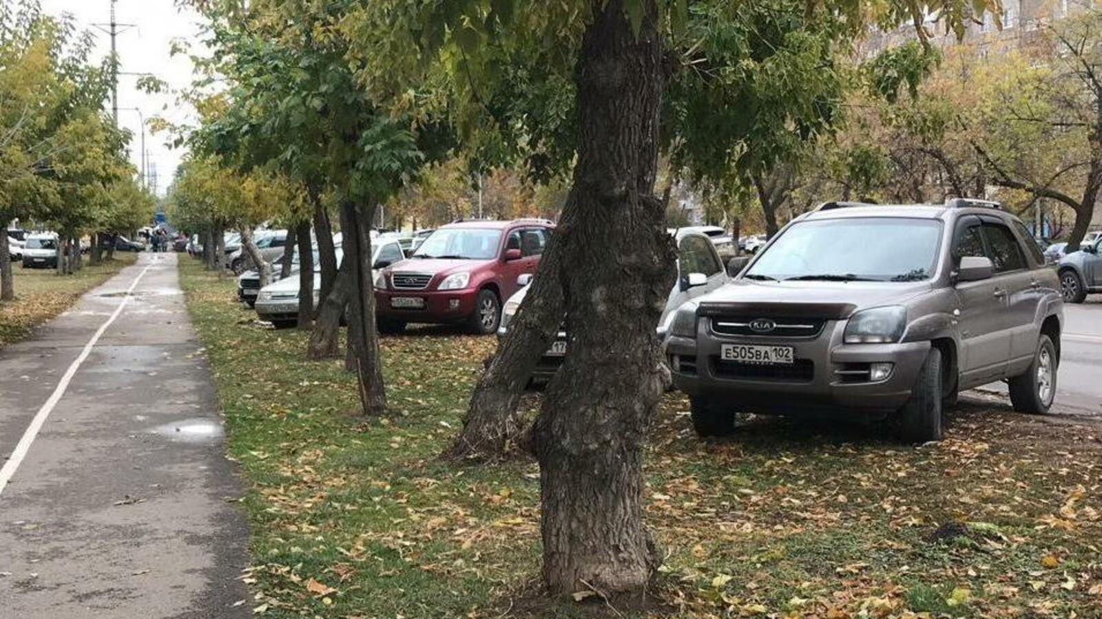 Ксения Калинина