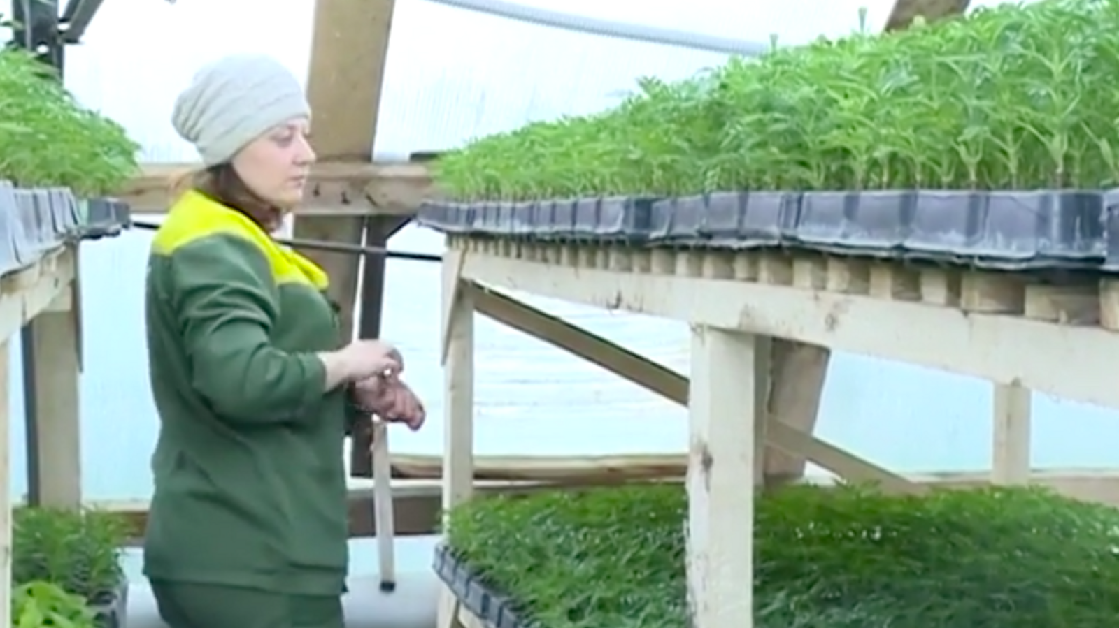 стоп-кадр видео с телеканала «Вся Уфа»