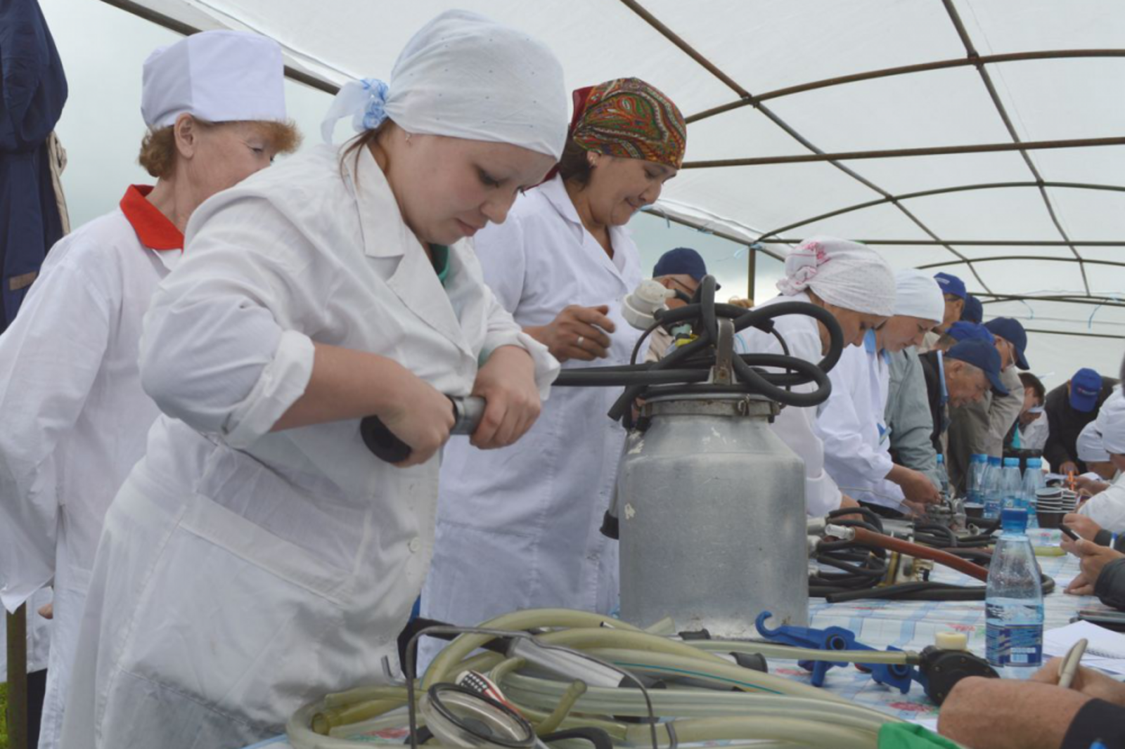 Минсельхоз РБ