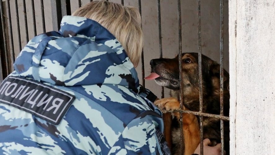 Валерий Шахов