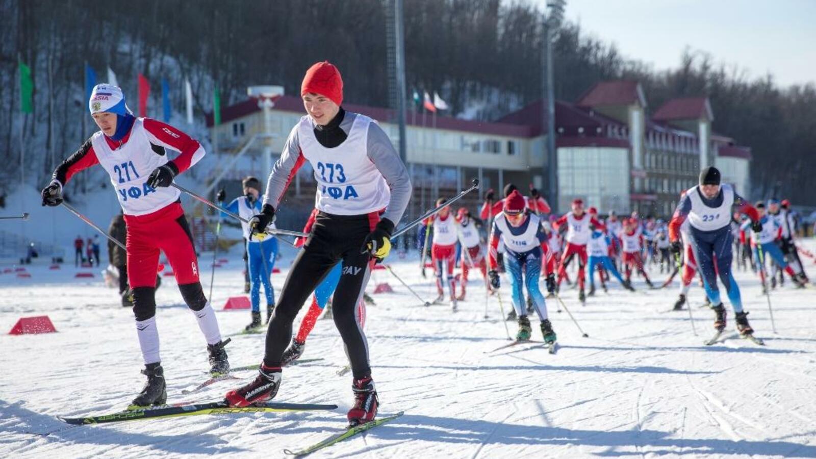 Комитет по физической культуре и спорту Уфы