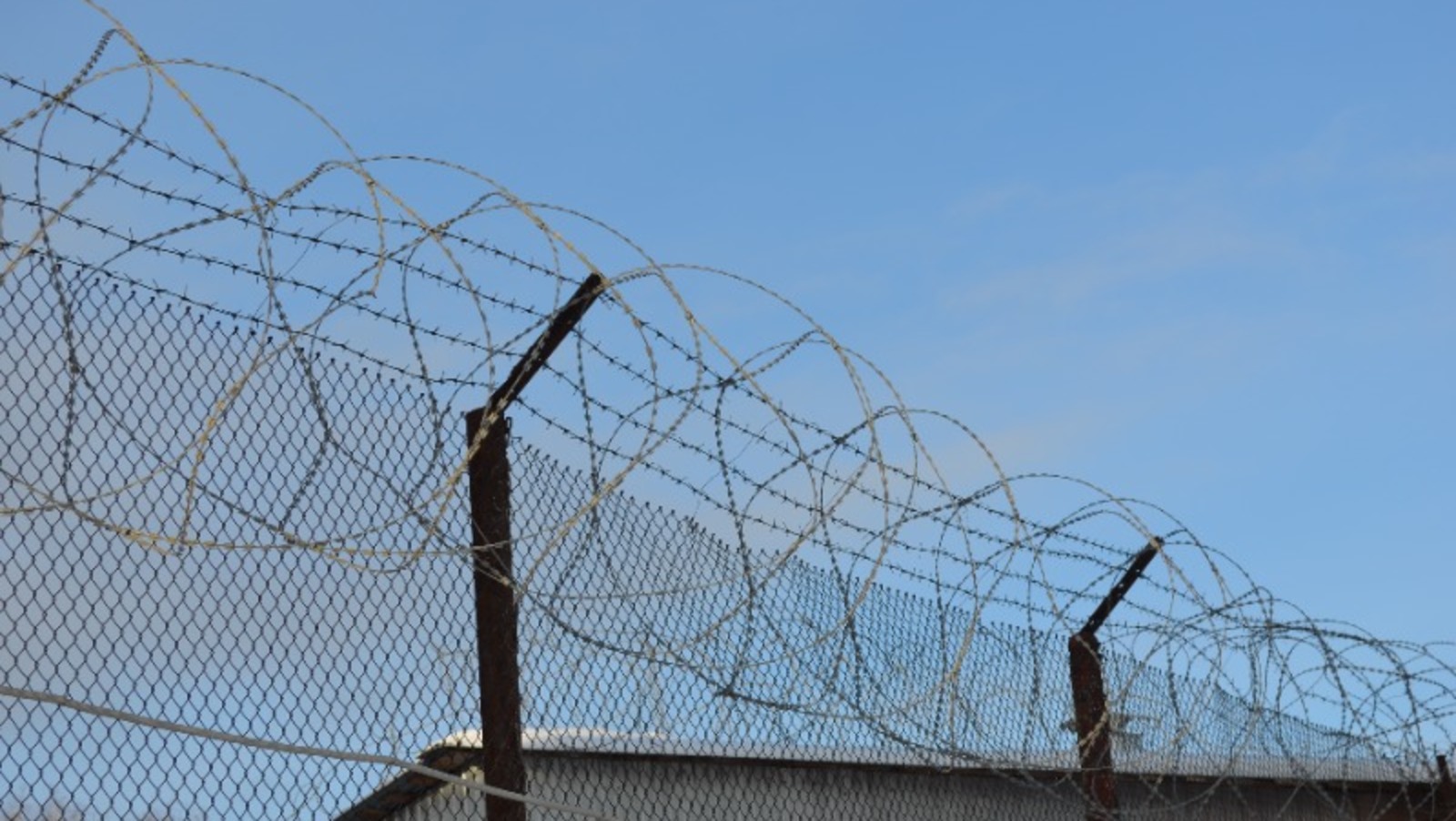 Ксения Калинина