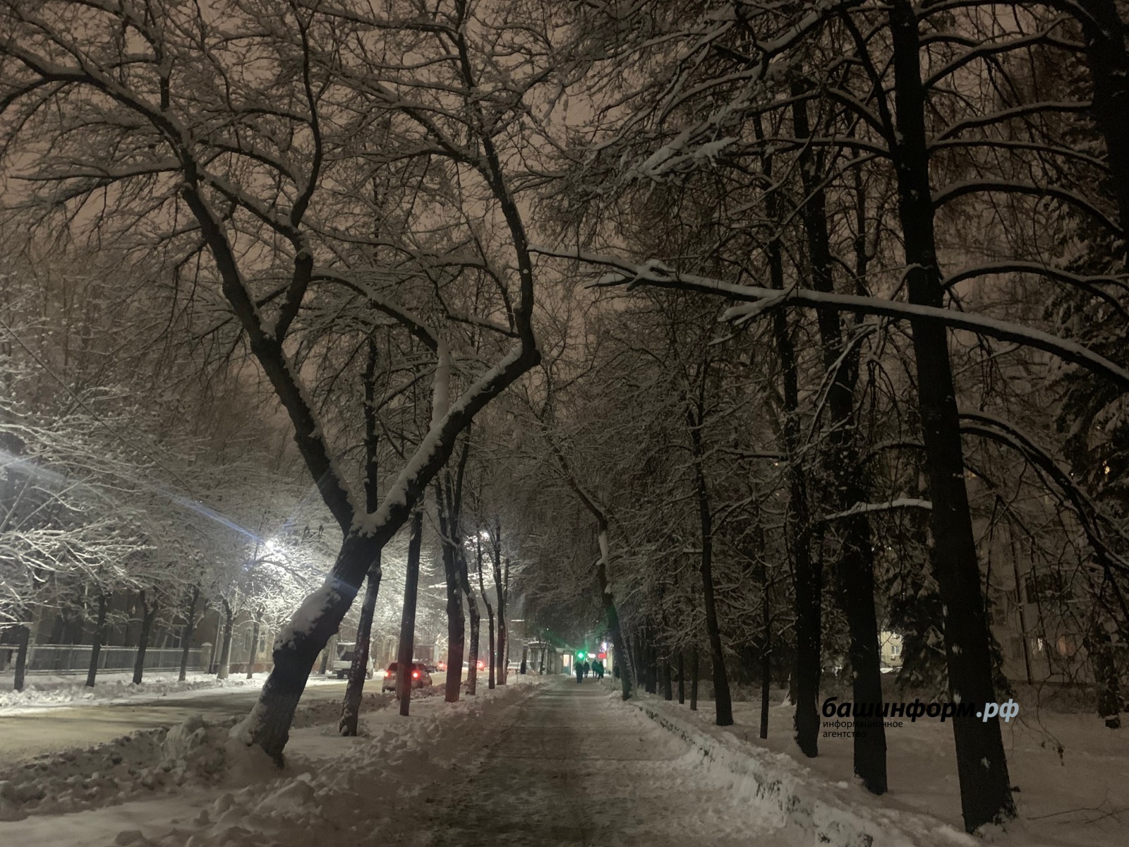 Галина Бахшиева