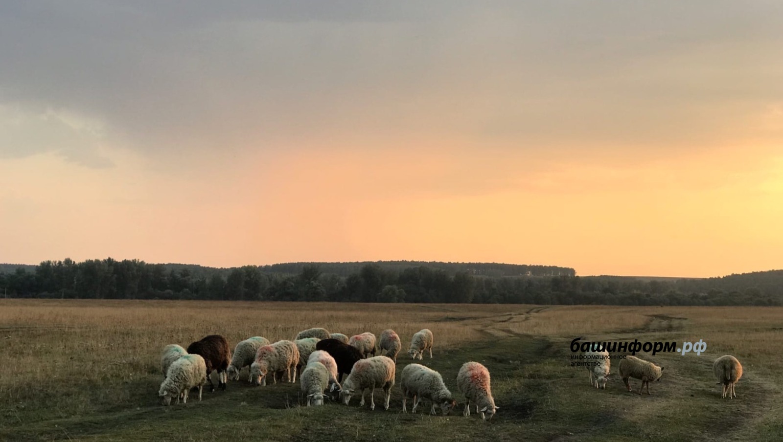 Ксения Калинина