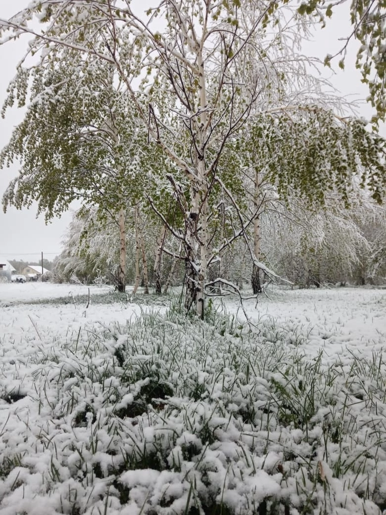 В некоторых районах Башкирии выпал снег