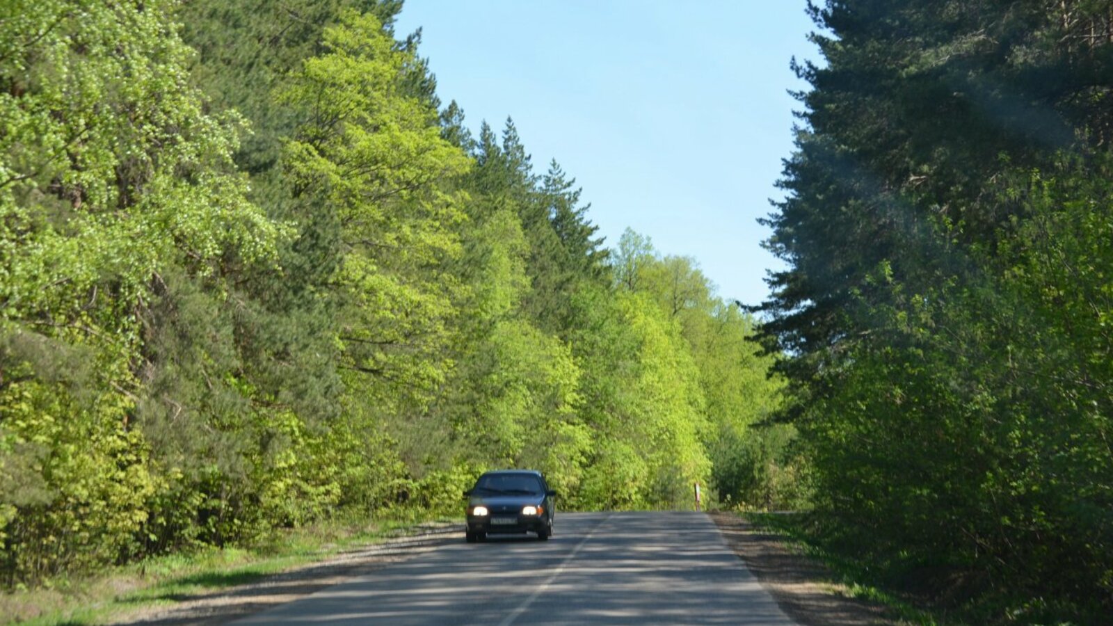 Ксения Калинина