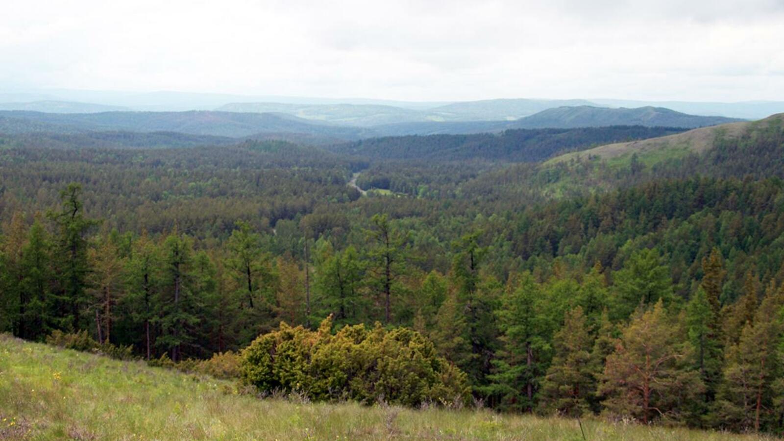 Олег Яровиков