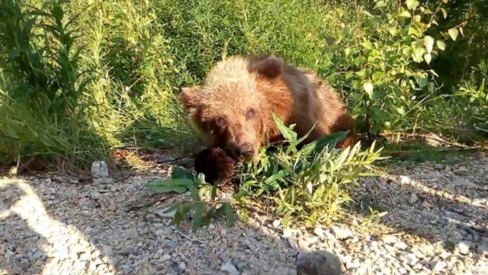 Башҡортостандың Тәбиғәттән файҙаланыу һәм экология министрлығы архивы