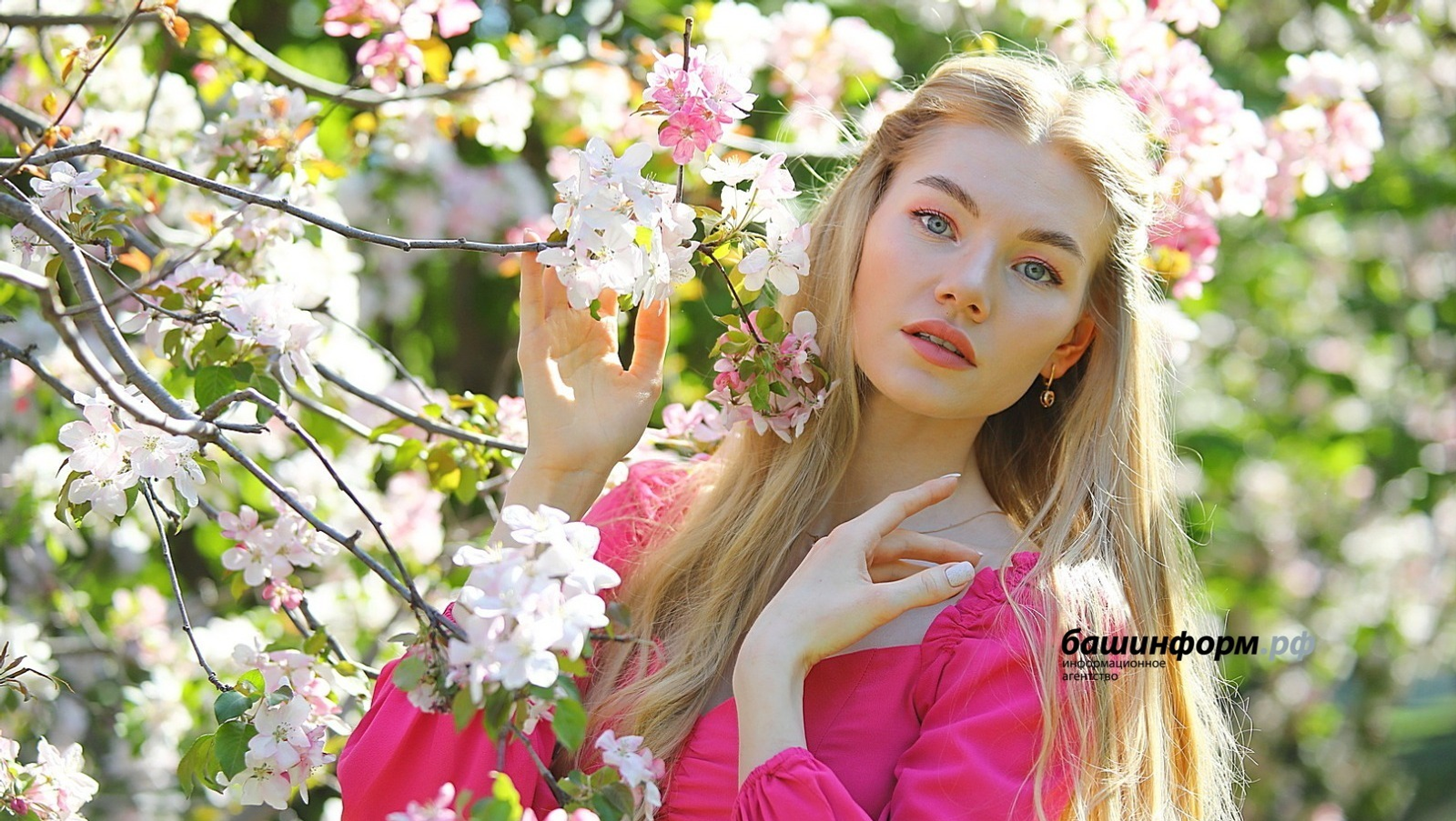 Валерий Шахов