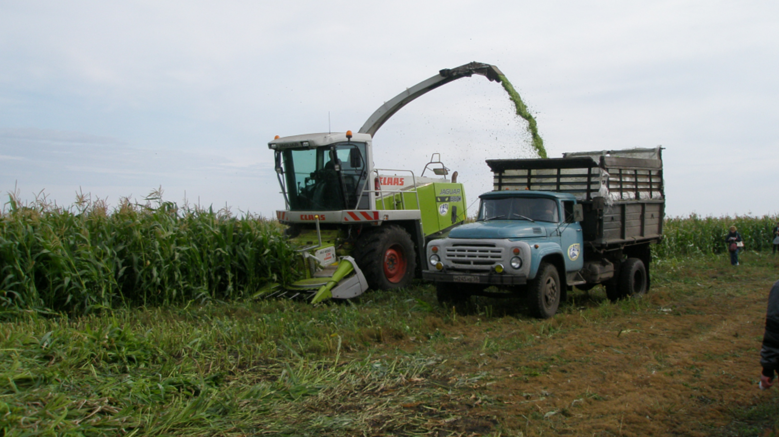 Минсельхоз РБ