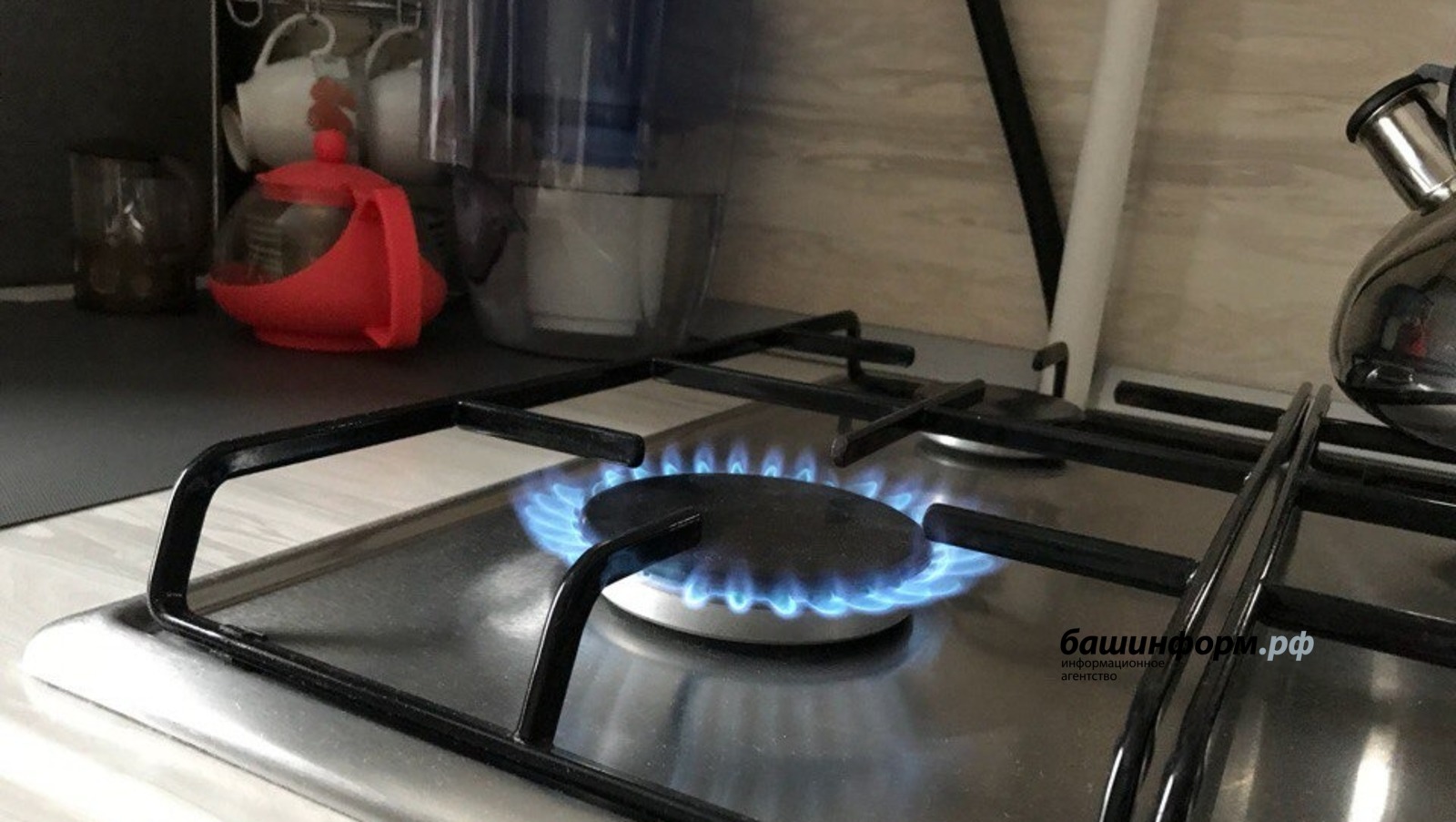 Ксения Калинина