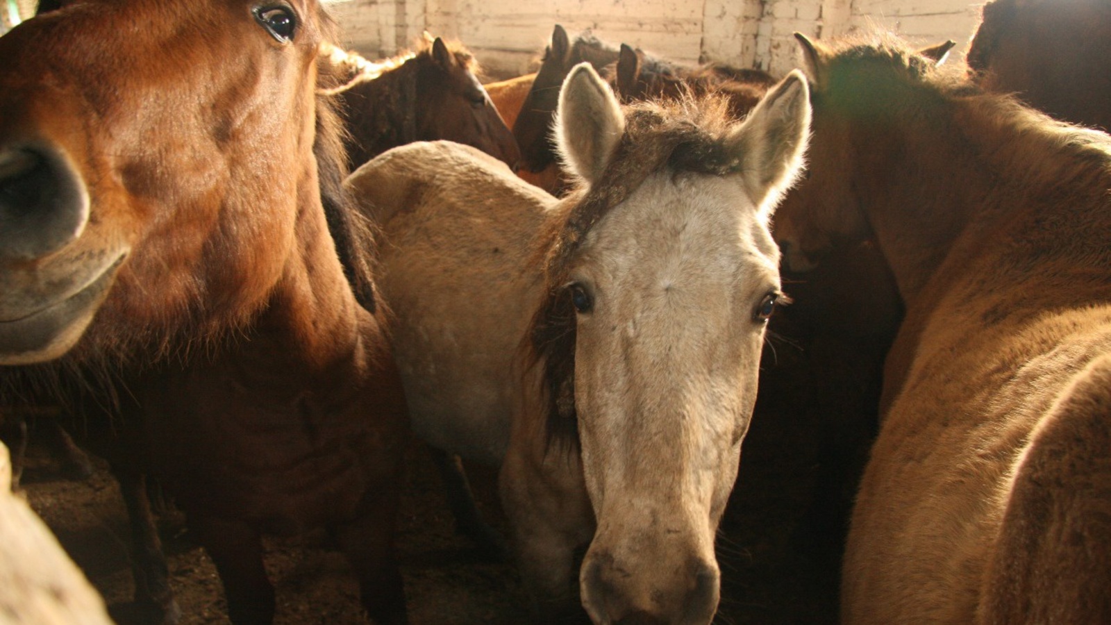 пресс-служба Минлесхоза Республики Башкортостан