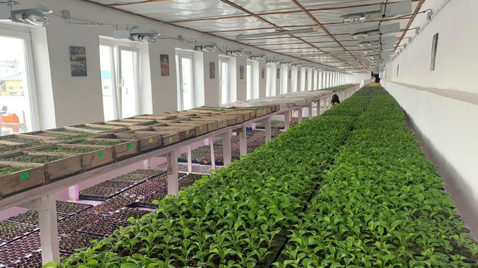 администрация Уфы