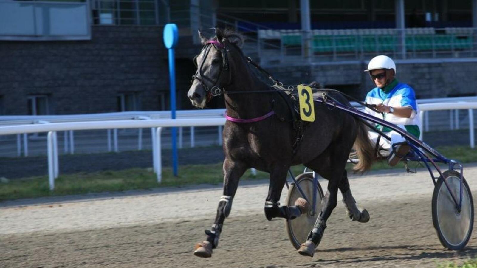 ипподром «Акбузат»